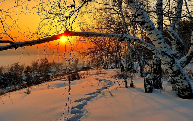 Sunset snowy forest path water free wallpaper - medium preview image