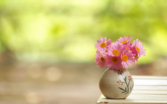 Vase pink flowers table window free wallpaper - medium preview image