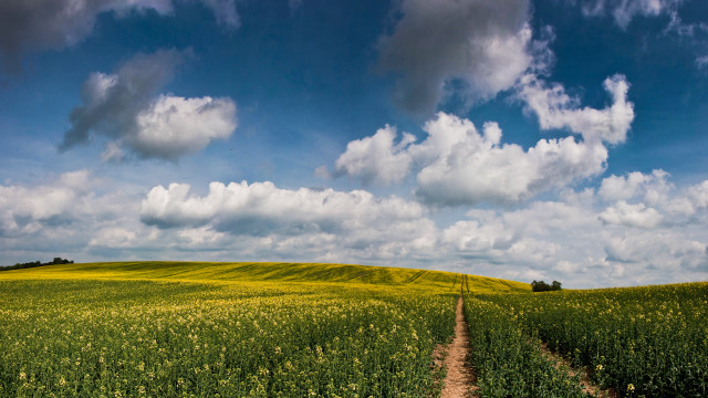 Dirt road green field cloudy #5 free wallpaper - medium preview image