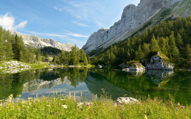 Mountain lake forest flower sky free wallpaper - medium preview image