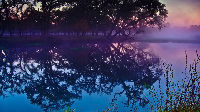 Lake trees foggy sunset autumn free wallpaper - medium preview image