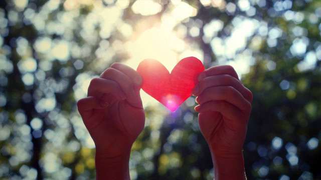 Person holding heart shaped object free wallpaper - medium preview image