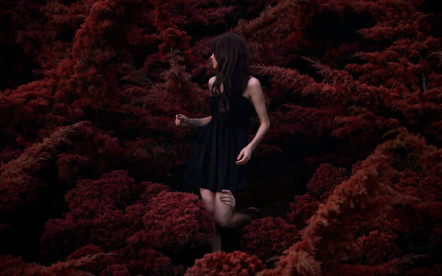 Woman black dress forest autumn free wallpaper - medium preview image
