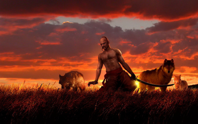 Man dog field sunset red free wallpaper - medium preview image