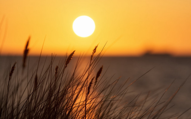 Sunset water grass building yellow free wallpaper - medium preview image