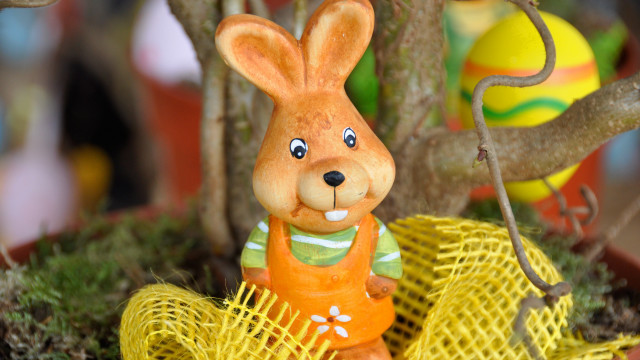 Toy rabbit basket tree yellow free wallpaper - medium preview image