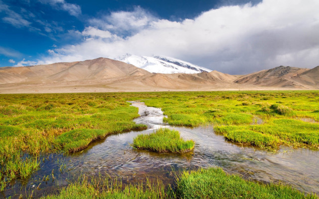 Stream lush field snowy mountains free wallpaper - medium preview image