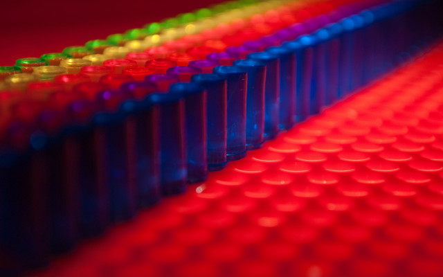 Plastic cups colored lids red free wallpaper - medium preview image