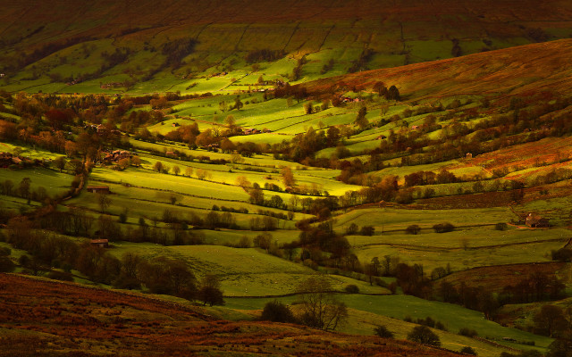 Hillside trees grass houses autumn free wallpaper - medium preview image
