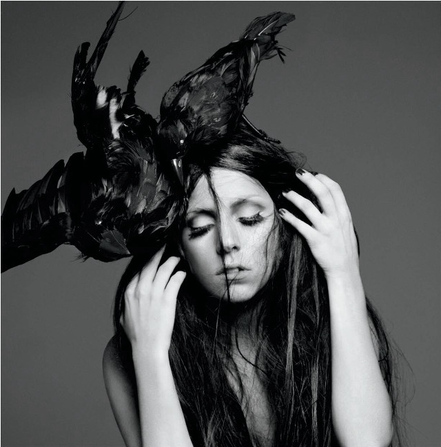 Woman bird head hands on free wallpaper - medium preview image
