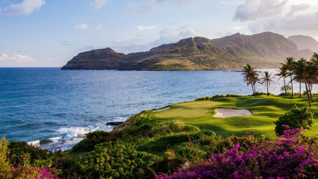 Tropical golf course beach island free wallpaper - medium preview image