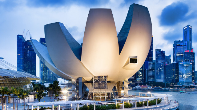 White building flower cityscape bridge free wallpaper - medium preview image