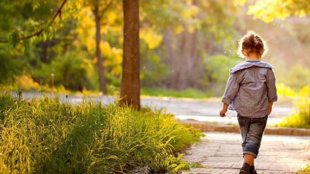 Boy walking autumn woods backpack free wallpaper - medium preview image