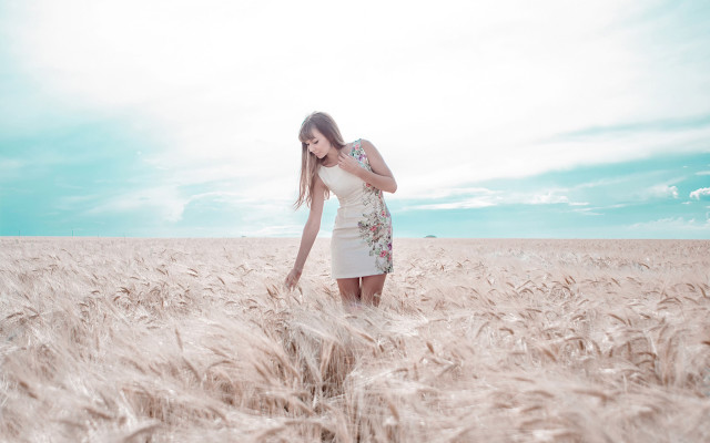 Woman wheat field cellphone sky free wallpaper - medium preview image