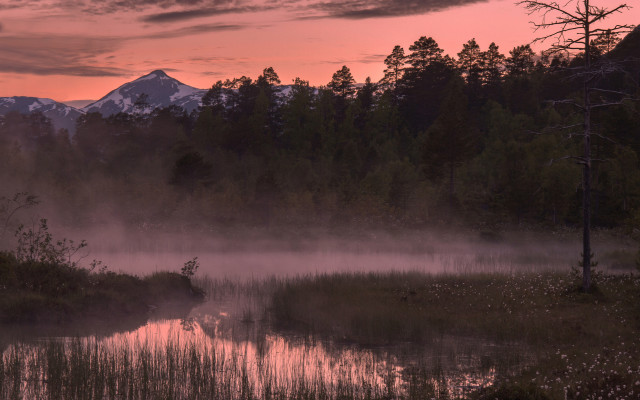 Lake fog mountain sunset trees free wallpaper - medium preview image