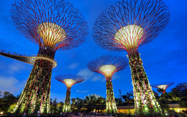 Lit trees night lights clouds free wallpaper - medium preview image