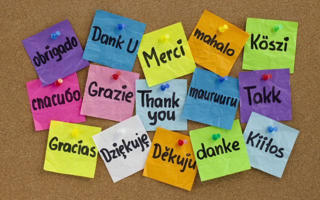 Colorful sticky notes corkboard art free wallpaper - medium preview image