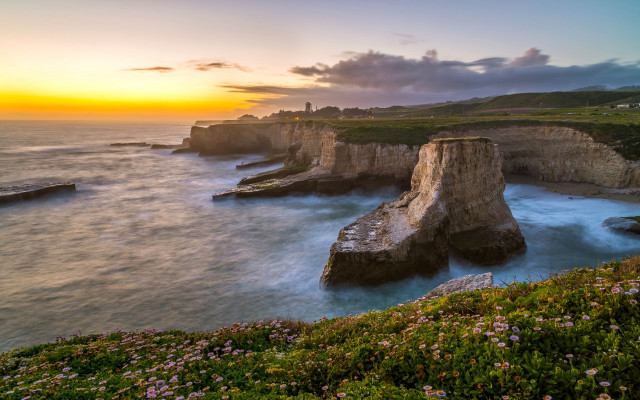Sunset ocean cliff flowers matte free wallpaper - medium preview image