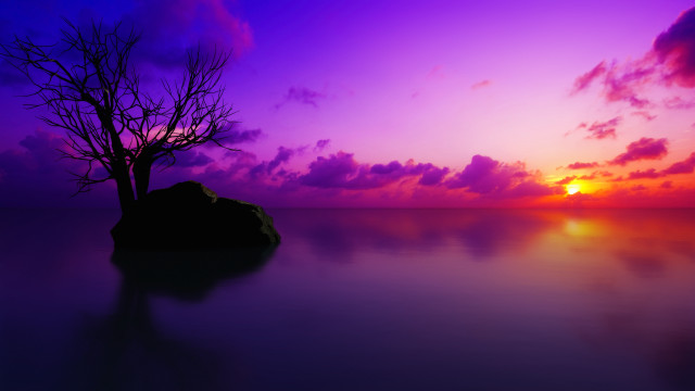 Purple sunset tree water mountain free wallpaper - medium preview image