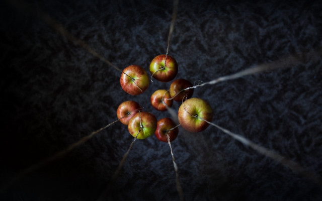 Apples table dark stick macro free wallpaper - medium preview image