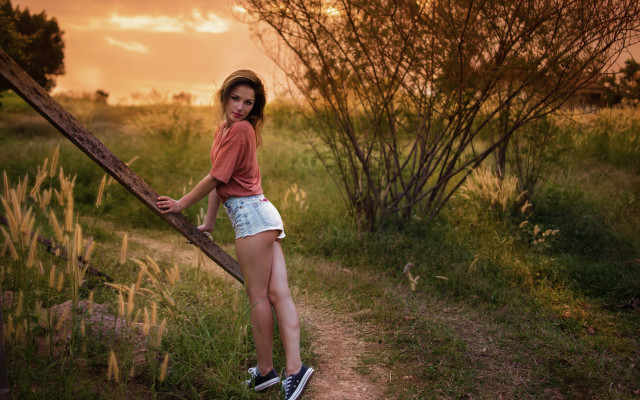Woman leaning post sunset forest free wallpaper - medium preview image