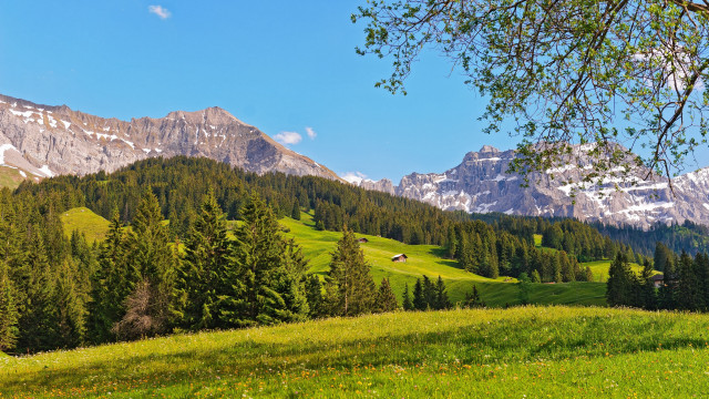 Grassy field mountains trees houses free wallpaper - medium preview image