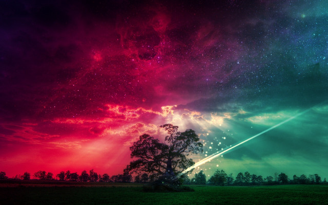 Colorful sky tree shooting star free wallpaper - medium preview image