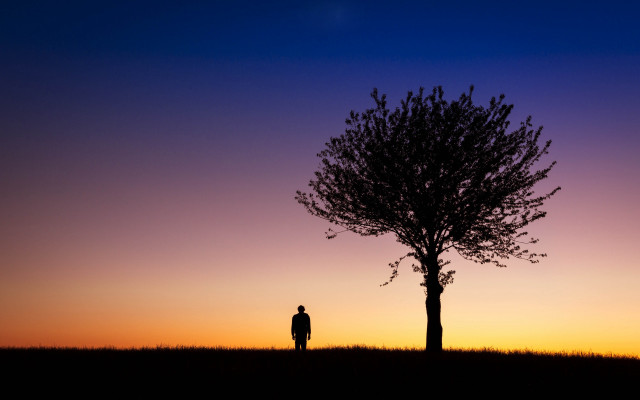 Lone man tree sunset purple free wallpaper - medium preview image