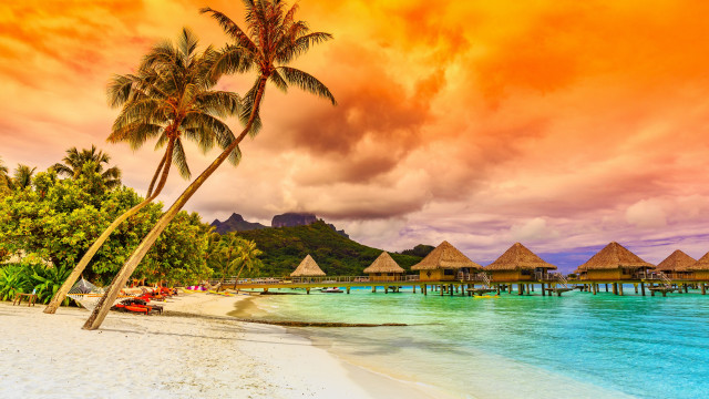 Beach palm trees sunset pier free wallpaper - medium preview image