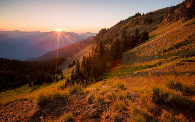 Sunset mountain grassy trees horizon free wallpaper - medium preview image