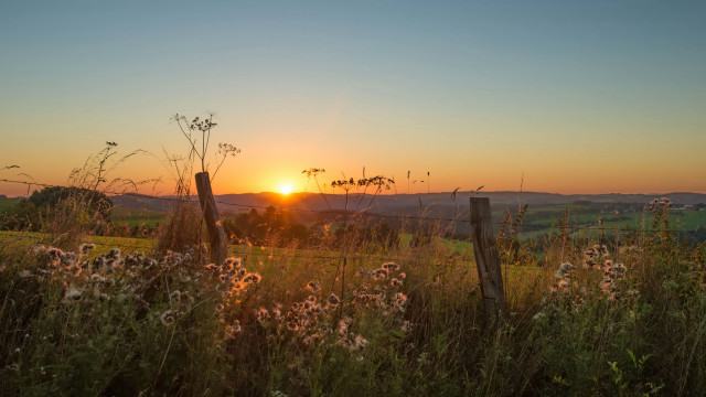 Sunset field fence wildflowers horizon free wallpaper - medium preview image