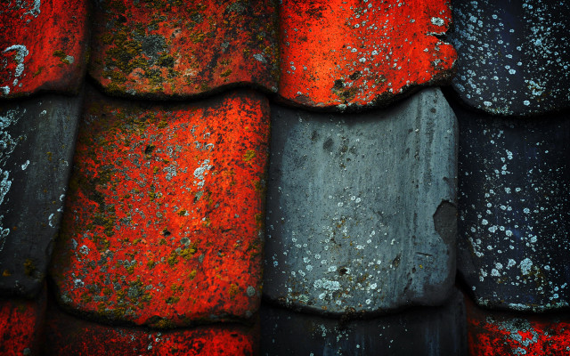 Red black tile roof white free wallpaper - medium preview image
