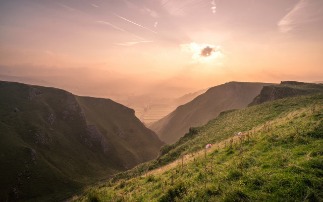 Grassy hill sheep mountains valley free wallpaper - medium preview image