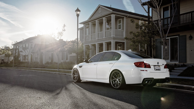 White car street house light free wallpaper - medium preview image