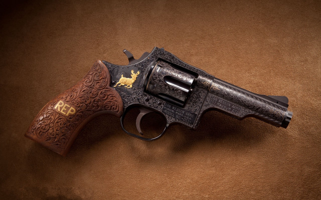 Gun golden dog brown background free wallpaper - medium preview image