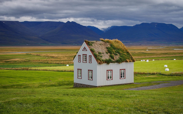 Small white house grass roof free wallpaper - medium preview image