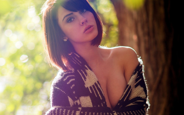 Aramenta sweater sunshine blurry bokeh free wallpaper - medium preview image