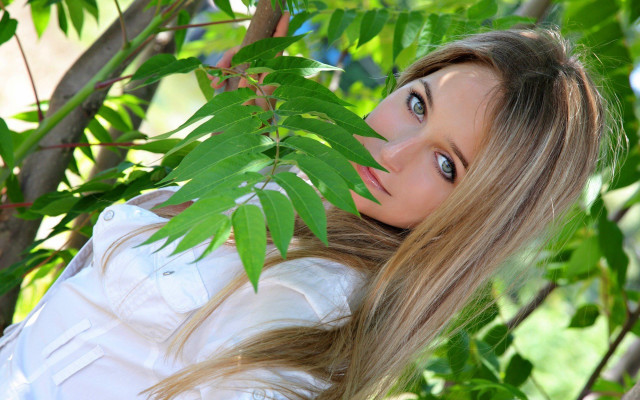 Woman tree blowing hair portrait free wallpaper for desktop - medium preview image