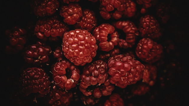 Raspberries macro dark background flowers free wallpaper - medium preview image