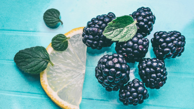 Lemon blackberries blue surface leaves free wallpaper - medium preview image