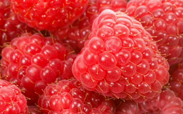 Raspberries water droplets red background #3 free wallpaper - medium preview image