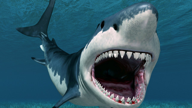 Shark open mouth photorealistic ocean free wallpaper - medium preview image