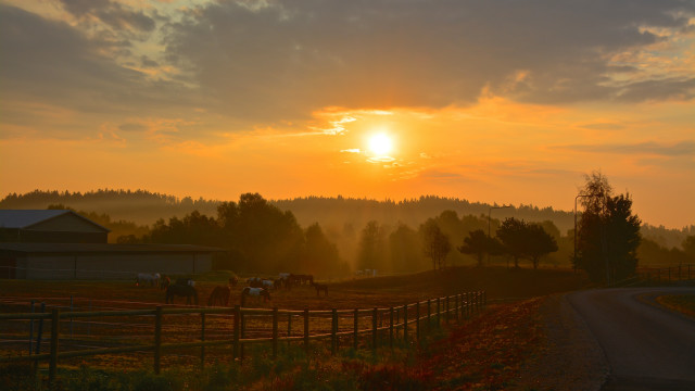 Sunset farm horses barn fence free wallpaper - medium preview image