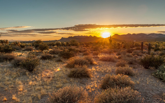 Desert sunset mountains bushes horizon free wallpaper - medium preview image