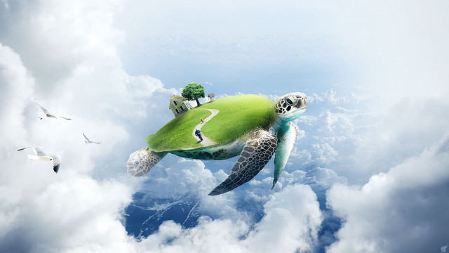 Flying turtle house tree ecological free wallpaper - medium preview image