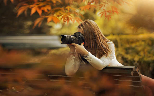 Woman autumn leaves camera blurry free wallpaper - medium preview image