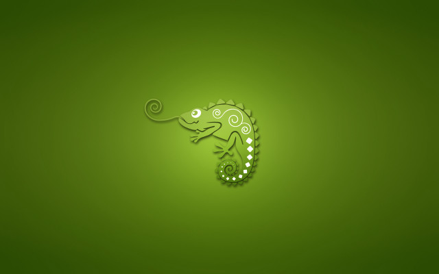 Green lizard swirly tail wall free wallpaper - medium preview image