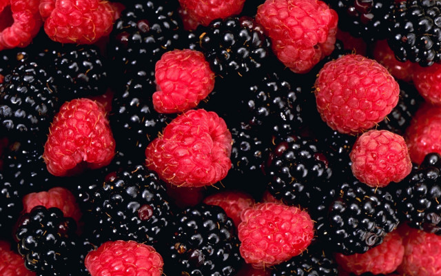 Raspberries blackberries closeup macro berries free wallpaper - medium preview image