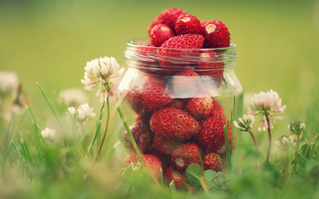 Jar strawberries green field flower free wallpaper - medium preview image