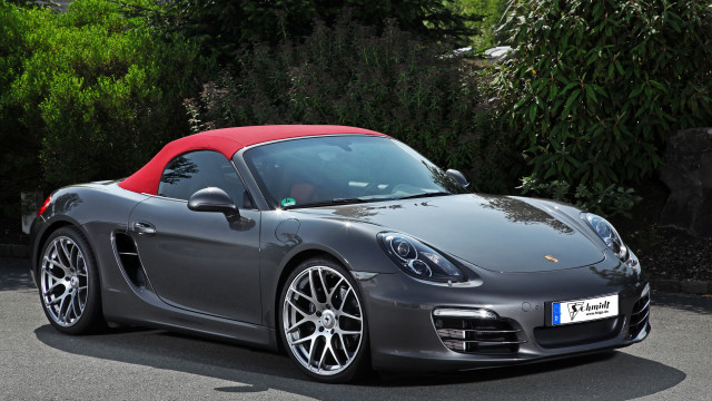 Porsche grey red top forest free wallpaper - medium preview image